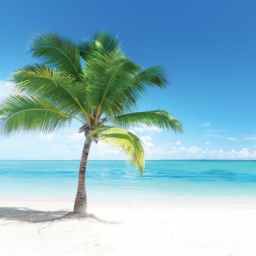 Trip to Carribean