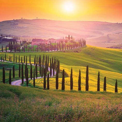 Trip to Tuscany